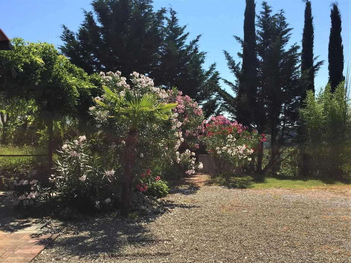 Poggio Magginga Apartment Terricciola